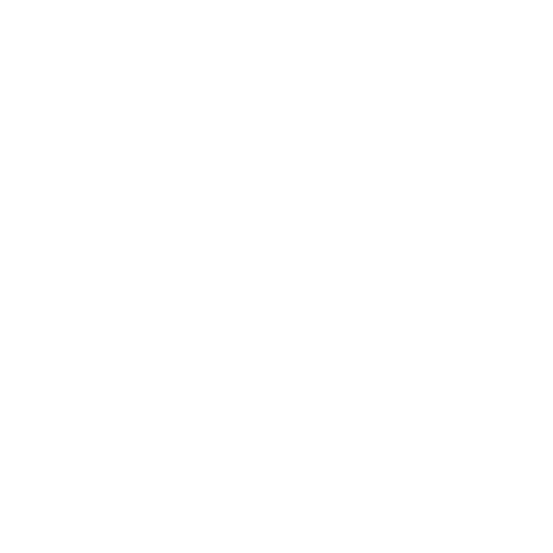 Zidan store